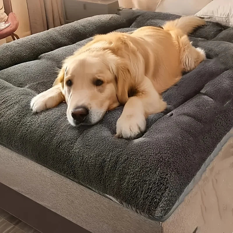 EverSoft Dog Couch