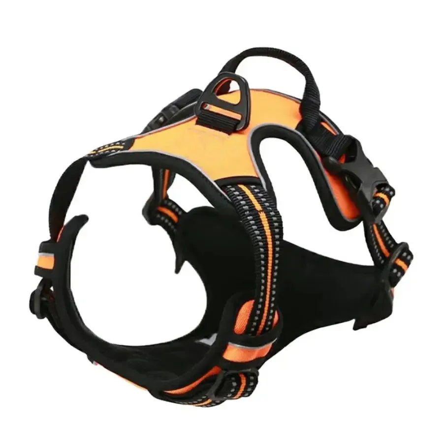 No-Pull Leather Dog Harness Set