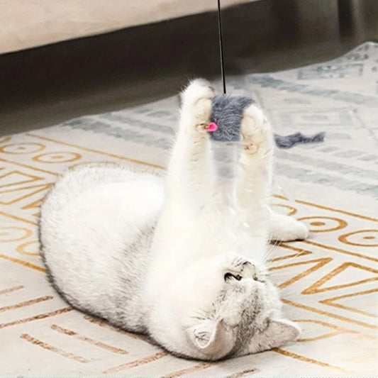 SwiftPounce Door Hanger