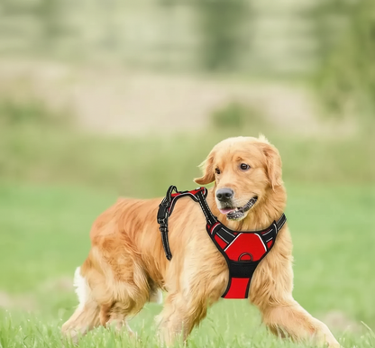 No-Pull Leather Dog Harness Set