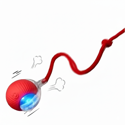 Automatic Interactive Cat Ball