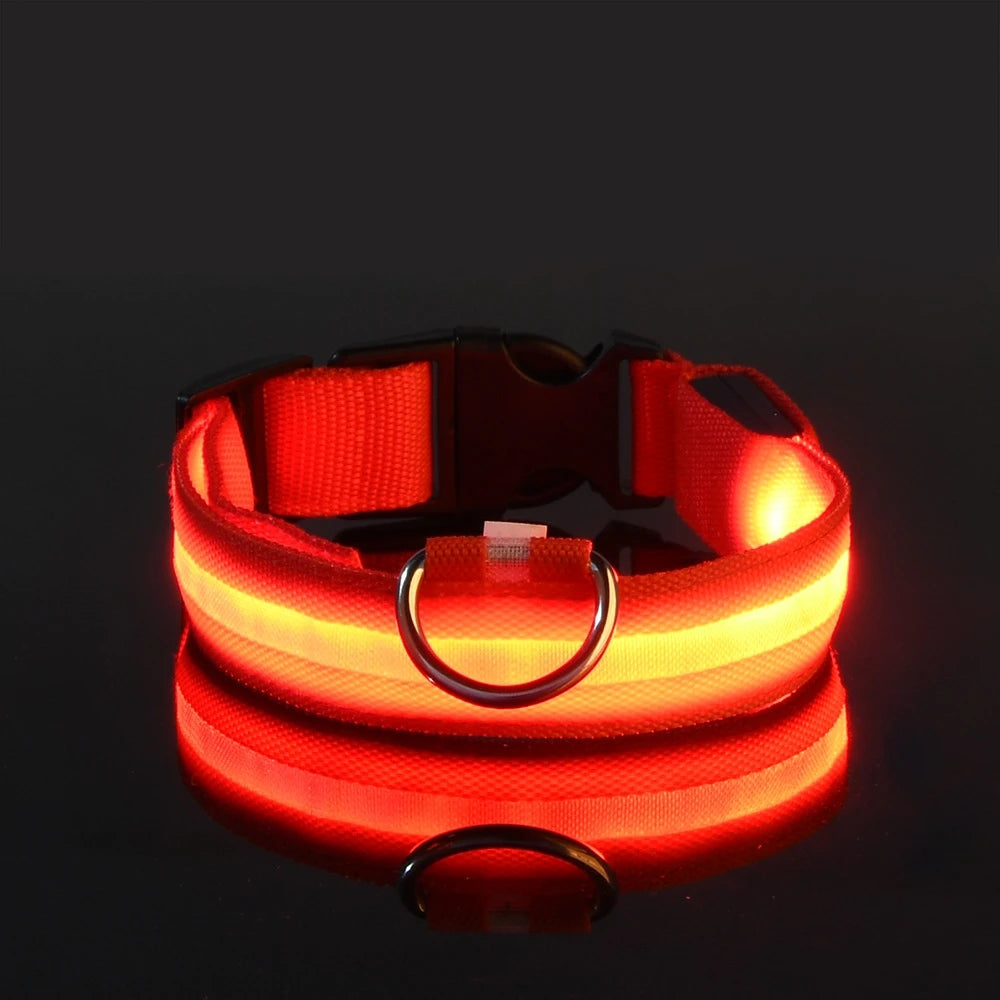 Night Safety LED Pet Collar