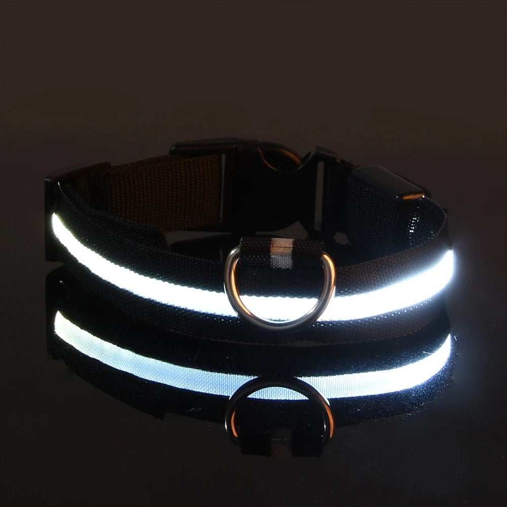 Night Safety LED Pet Collar
