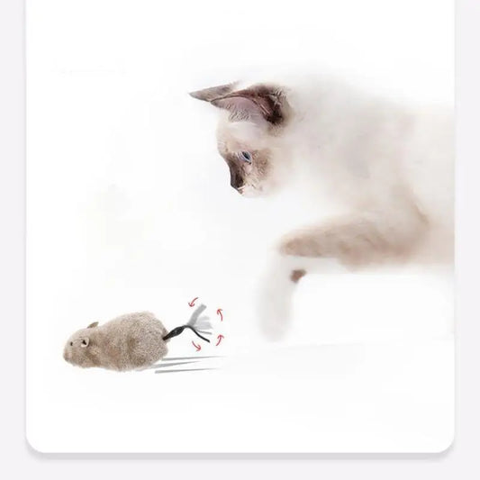 Interactive Wind-Up Mouse Cat Toy