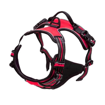 No-Pull Leather Dog Harness Set