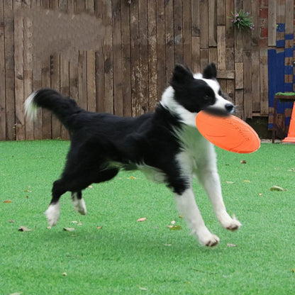 AeroFlex Silicone Flying Disc