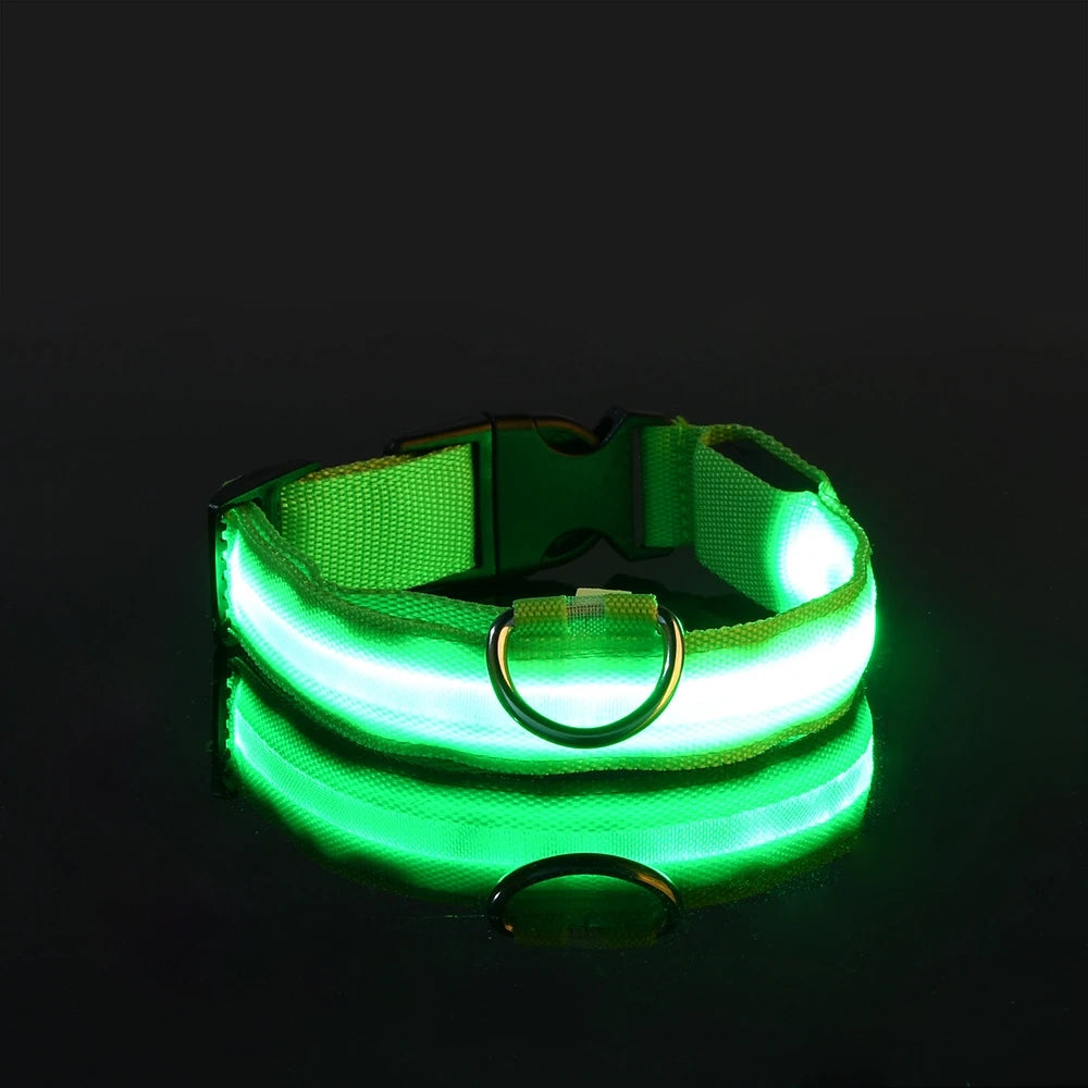 Night Safety LED Pet Collar