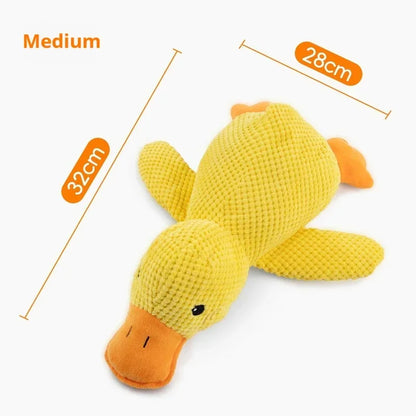 Durable Puppy Chew Duck