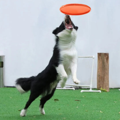 AeroFlex Silicone Flying Disc