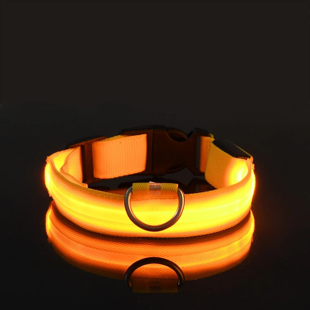 Night Safety LED Pet Collar