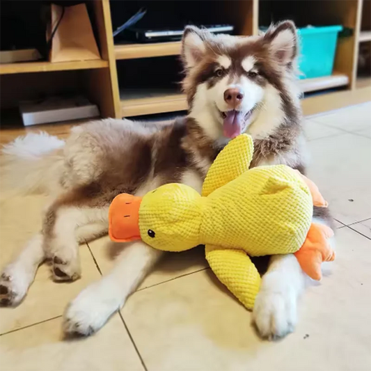 Durable Puppy Chew Duck