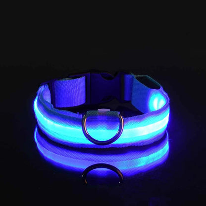 Night Safety LED Pet Collar