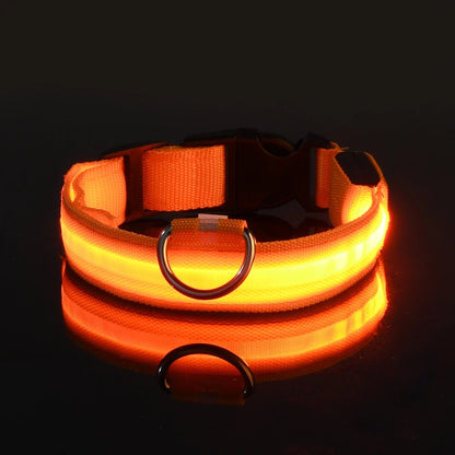 Night Safety LED Pet Collar