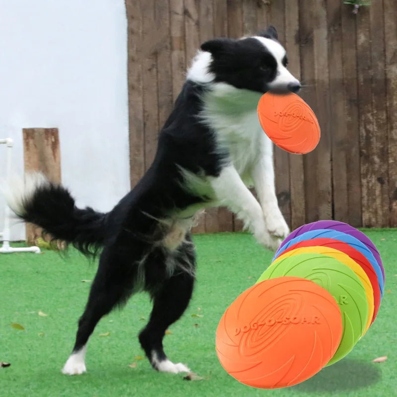 AeroFlex Silicone Flying Disc