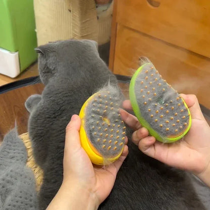 3-in-1 Cat Steamy Brush