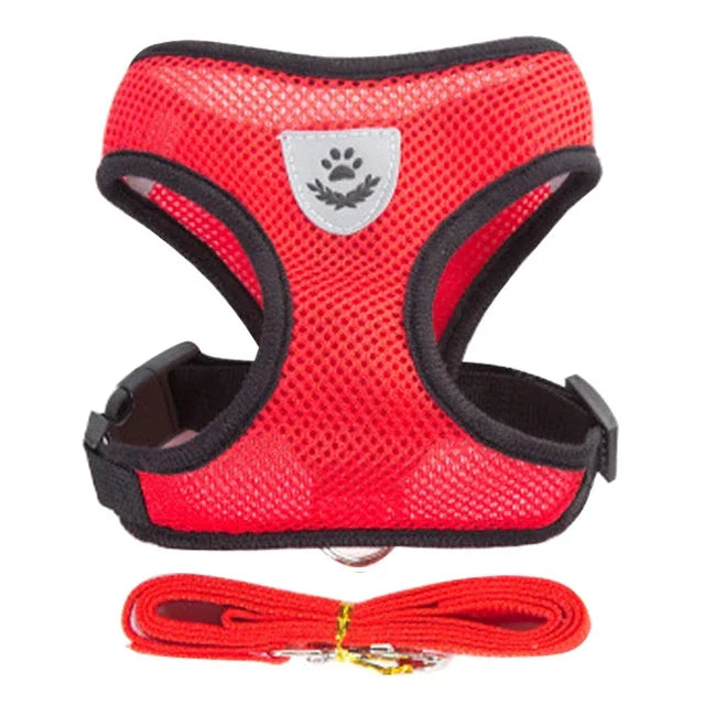 Soft Step-In Cat Harness & Leash