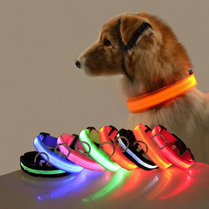 Night Safety LED Pet Collar