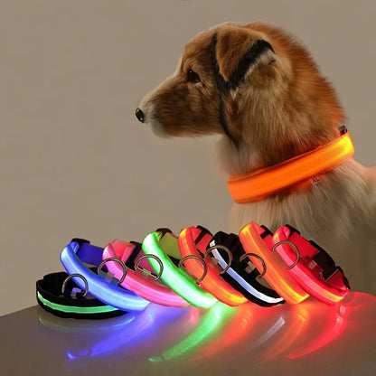 Night Safety LED Pet Collar