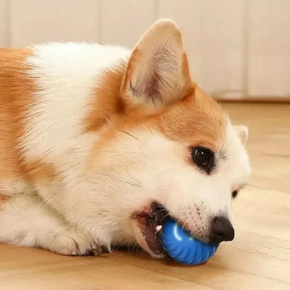 Automatic Rolling Dog Ball