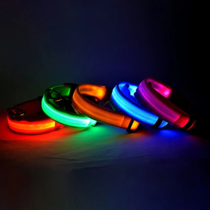 Night Safety LED Pet Collar