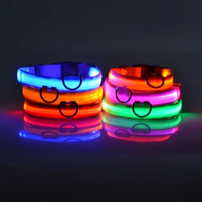 Night Safety LED Pet Collar