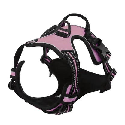 No-Pull Leather Dog Harness Set
