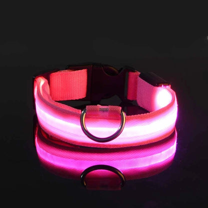 Night Safety LED Pet Collar
