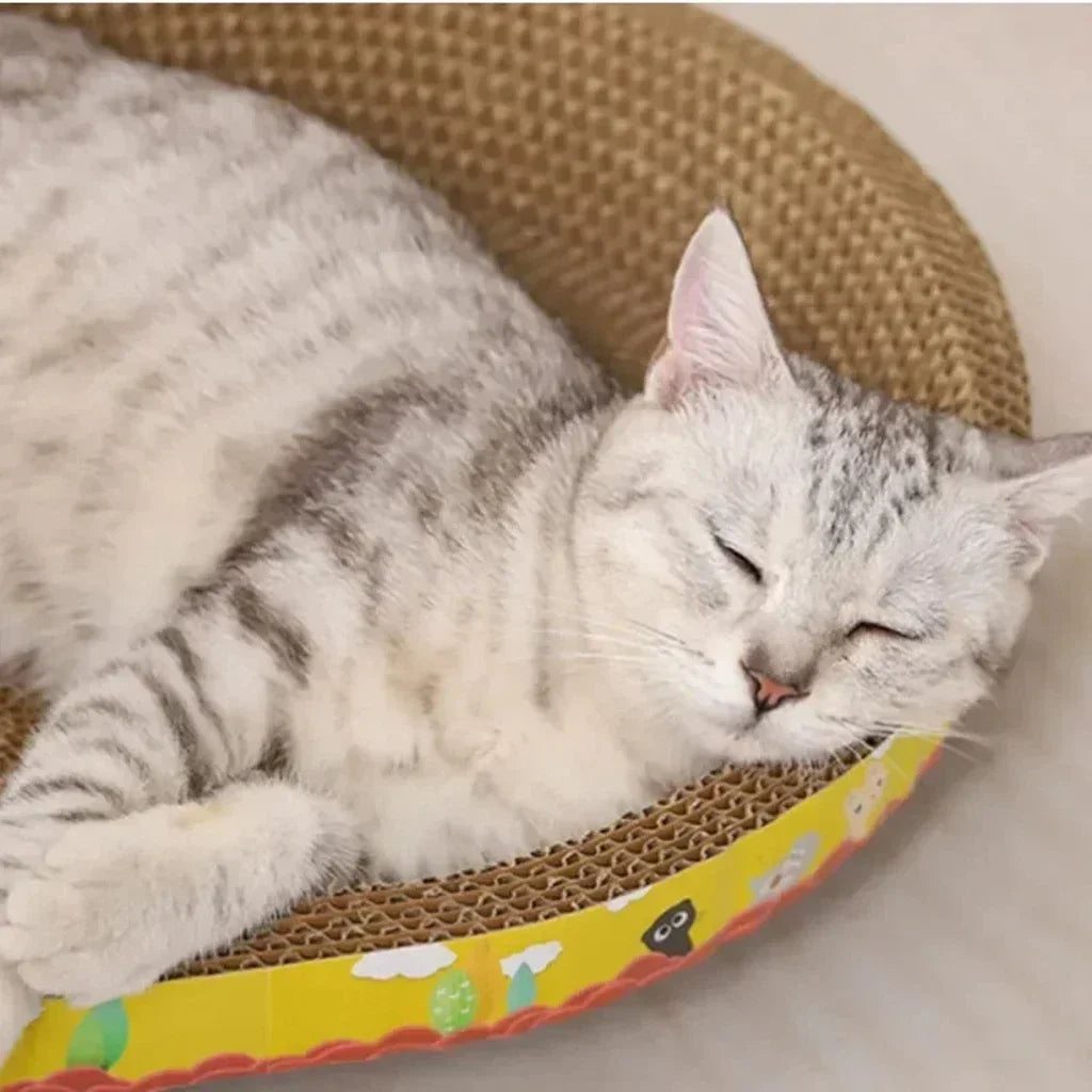 Oval Cat Scratching Bed for Indoor Cats