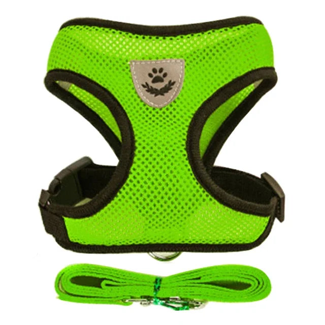 Soft Step-In Cat Harness & Leash