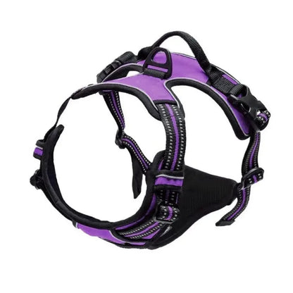No-Pull Leather Dog Harness Set