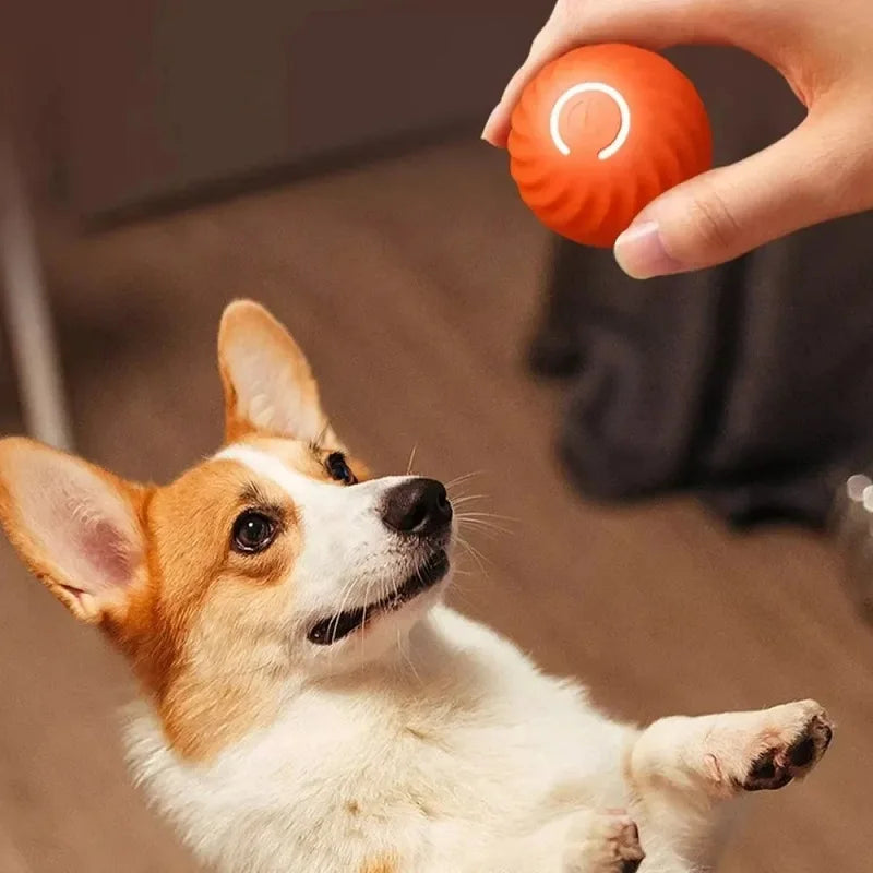 Automatic Rolling Dog Ball