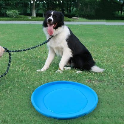 AeroFlex Silicone Flying Disc