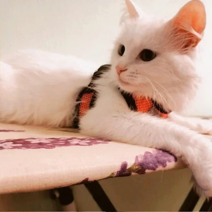 Soft Step-In Cat Harness & Leash
