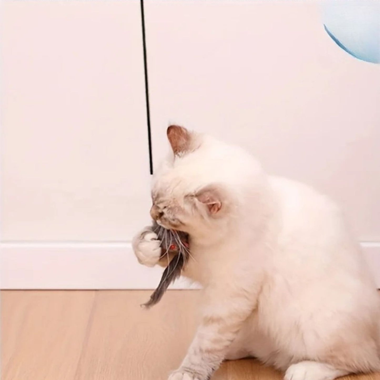 SwiftPounce Door Hanger