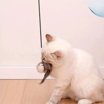 SwiftPounce Door Hanger