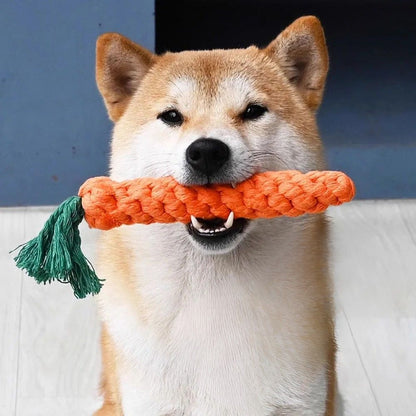 Dental Dog Chew Toy for Teeth Cleaning